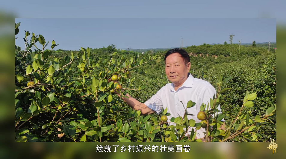 曹松林--名家讲坛艺术人生专题访谈